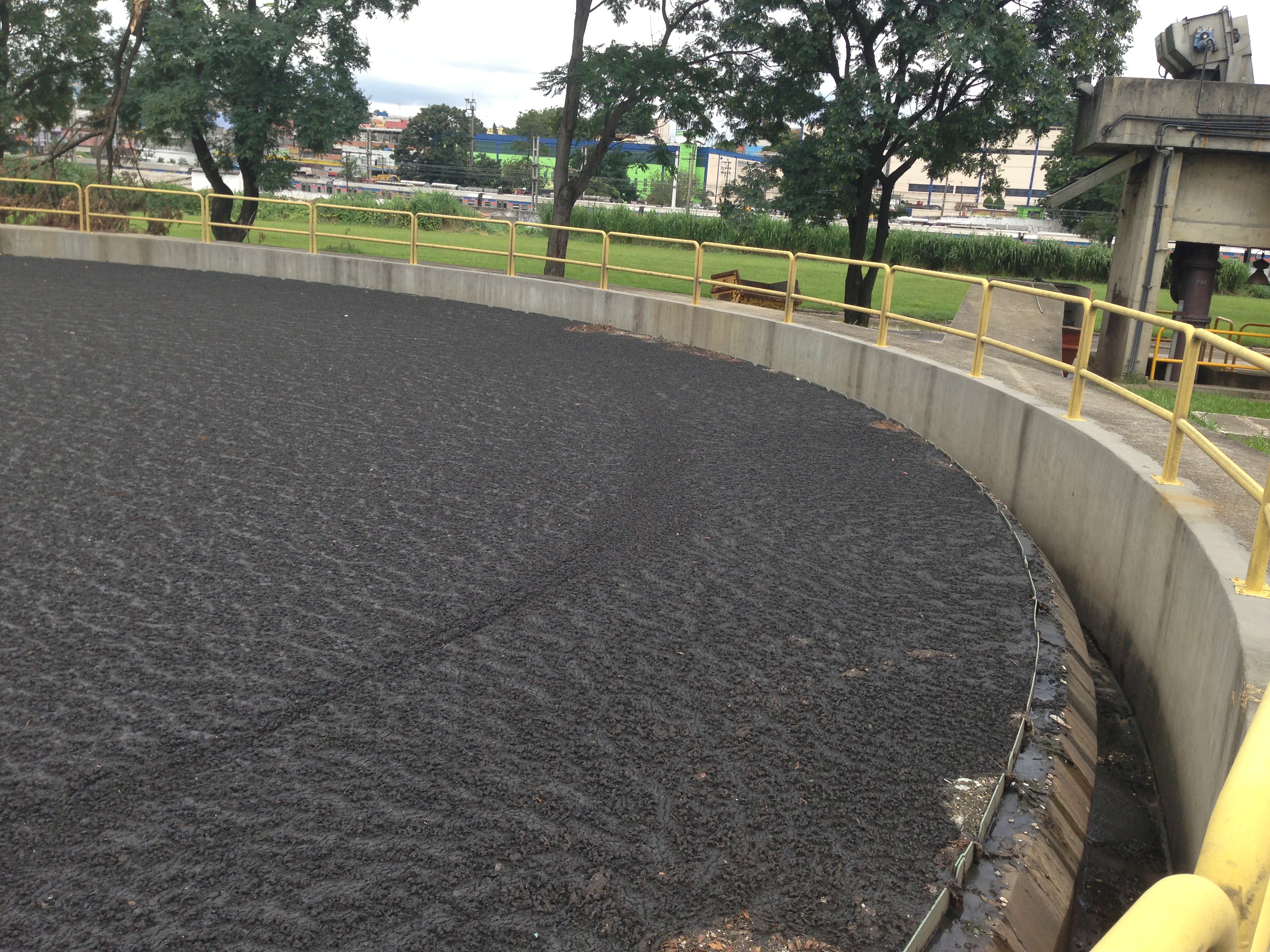 Modules lamellaires installes dans un clarificateur secondaire
