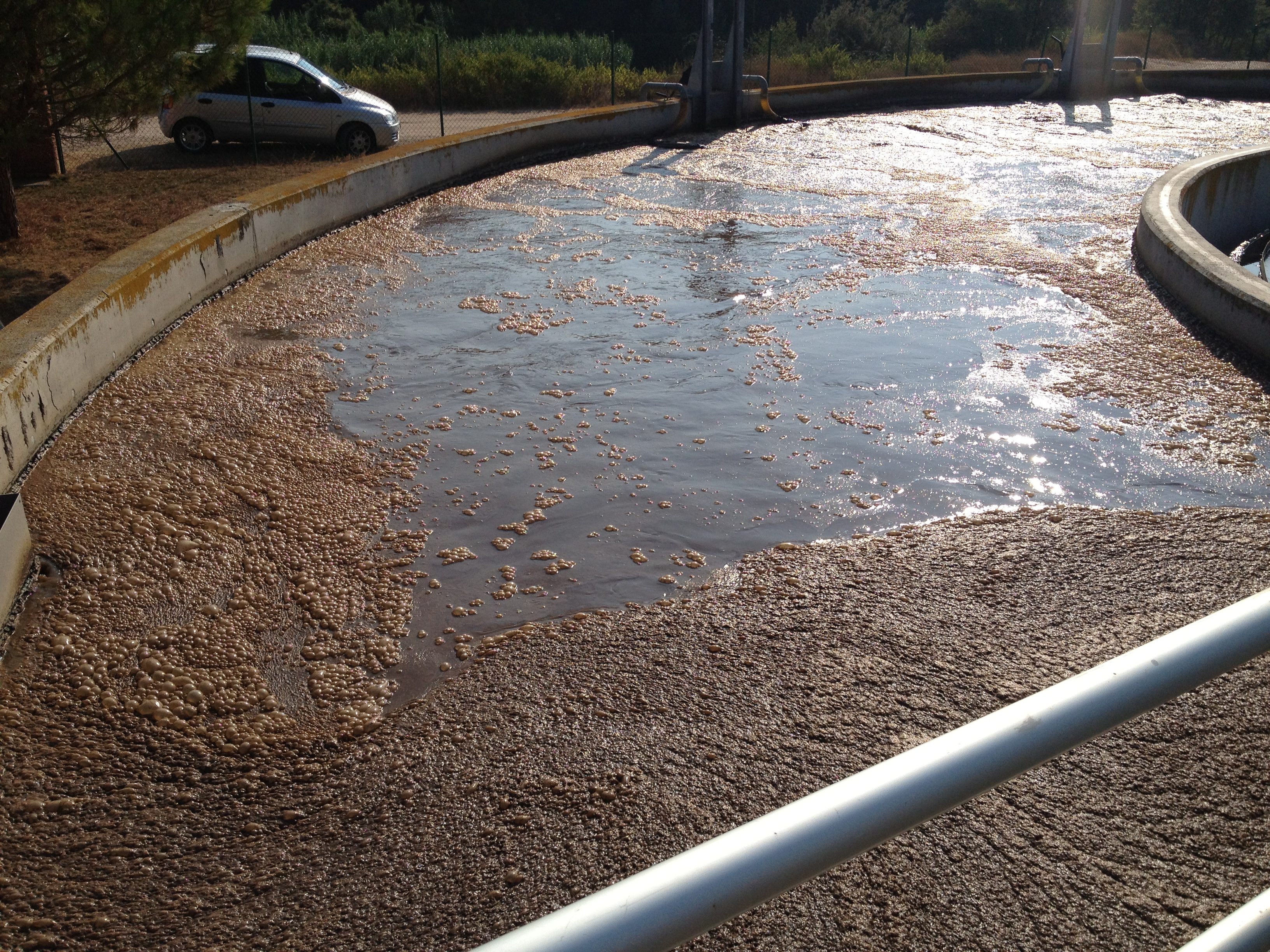 Zone lamellaire et zone de decantation dans un clarificateur secondaire
